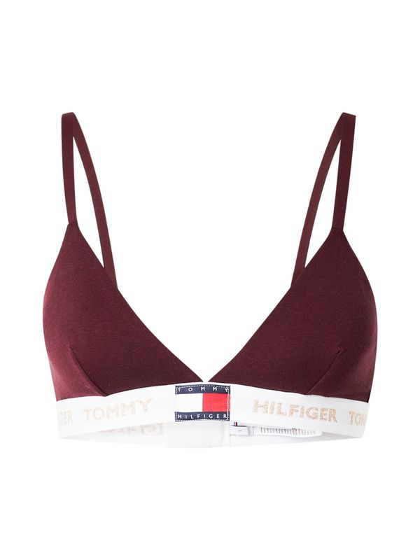 Tommy Hilfiger Underwear Tommy Hilfiger Underwear Nedrček  mornarska / zlata / bordo / off-bela