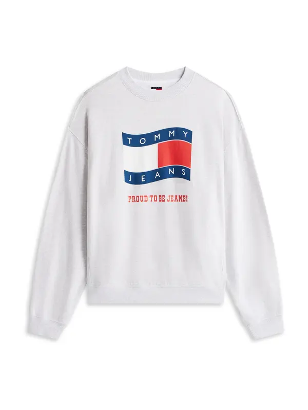 Tommy Jeans Tommy Jeans Majica '90S'  modra / siva / rdeča / bela