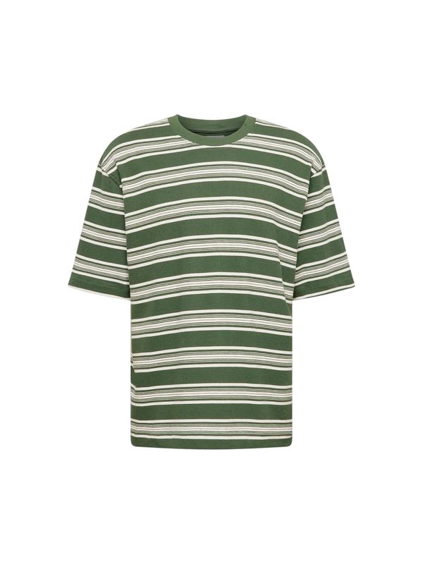 TOPMAN TOPMAN Majica  zelena / bela