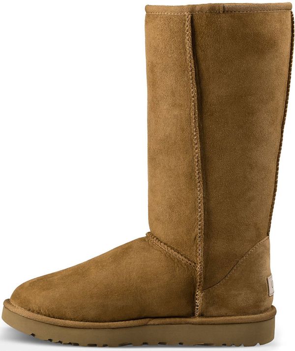 UGG UGG Škornji 'Classic'  sepija