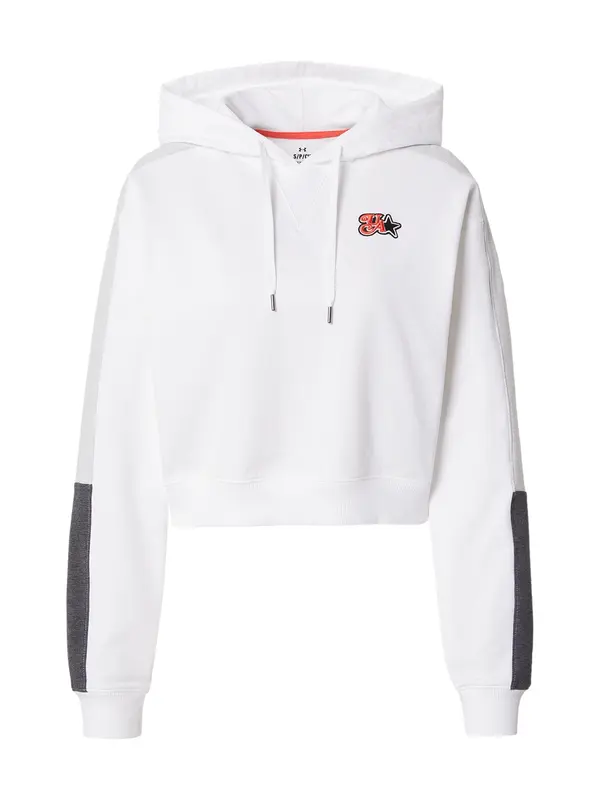 UNDER ARMOUR UNDER ARMOUR Športna majica 'Terry'  antracit / svetlo siva / bela