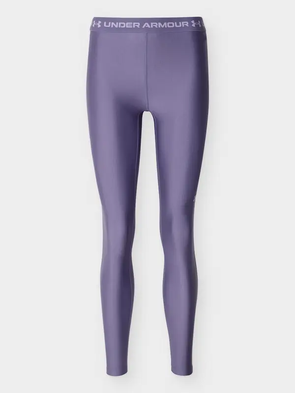 UNDER ARMOUR UNDER ARMOUR Športne hlače  sliva
