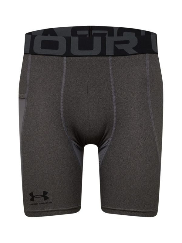 UNDER ARMOUR UNDER ARMOUR Športne hlače  temno siva / črna