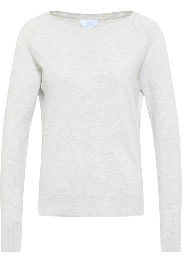 usha BLUE LABEL usha BLUE LABEL Pulover  pegasto siva