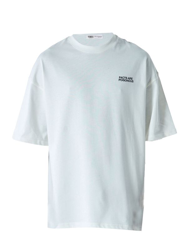 VAMOS CLO VAMOS CLO Majica 'Michaelmas Daisy'  ecru / mešane barve