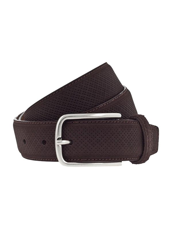 VANZETTI VANZETTI Pas  temno rjava