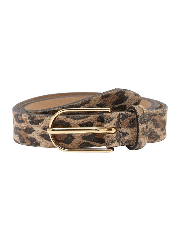 VANZETTI VANZETTI Pas  temno rjava / temno siva