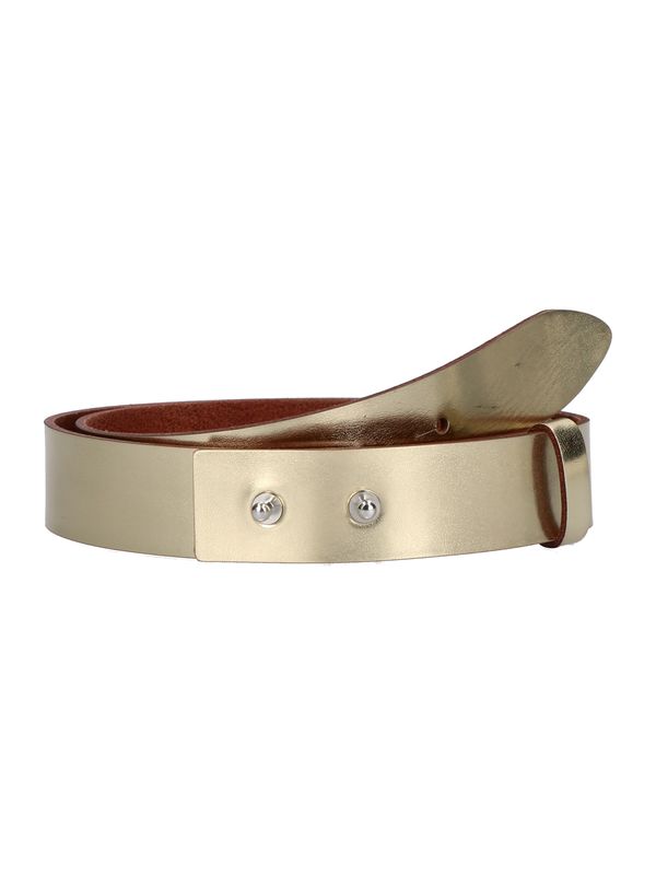 VANZETTI VANZETTI Pas  zlata