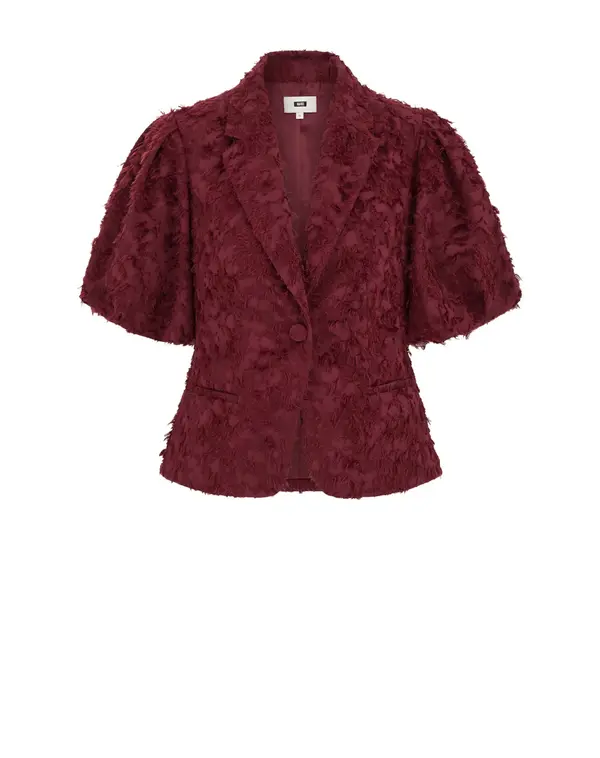 WE Fashion WE Fashion Blazer  rdeča / temno rdeča