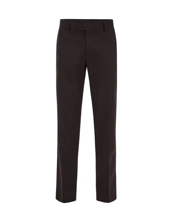 WE Fashion WE Fashion Chino hlače  temno rjava