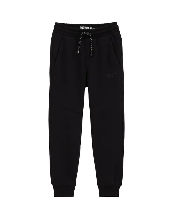 WE Fashion WE Fashion Hlače  črna