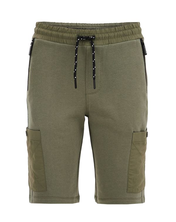 WE Fashion WE Fashion Hlače  kaki