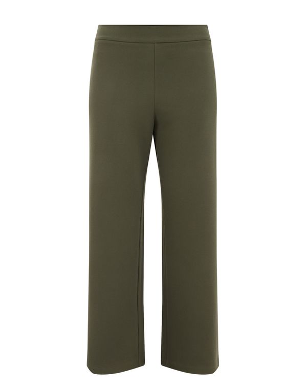 WE Fashion WE Fashion Hlače  oliva