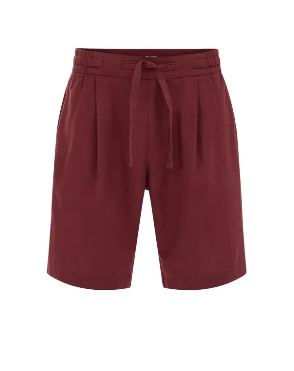 WE Fashion WE Fashion Hlače z naborki  merlot