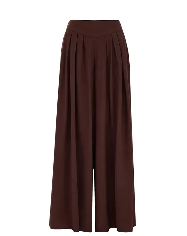 WE Fashion WE Fashion Hlače z naborki  temno rjava