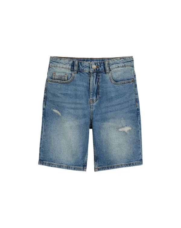 WE Fashion WE Fashion Kavbojke  moder denim