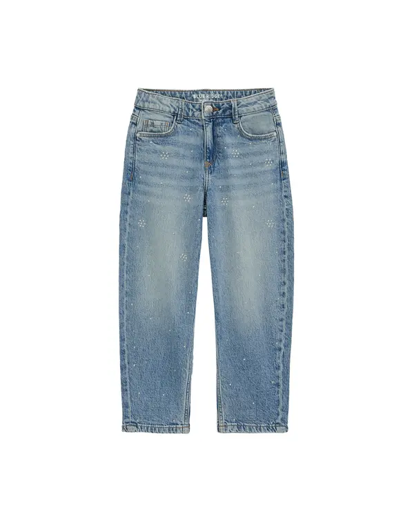 WE Fashion WE Fashion Kavbojke  moder denim
