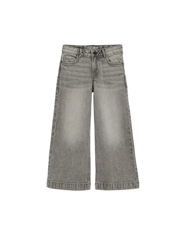 WE Fashion WE Fashion Kavbojke  siv denim