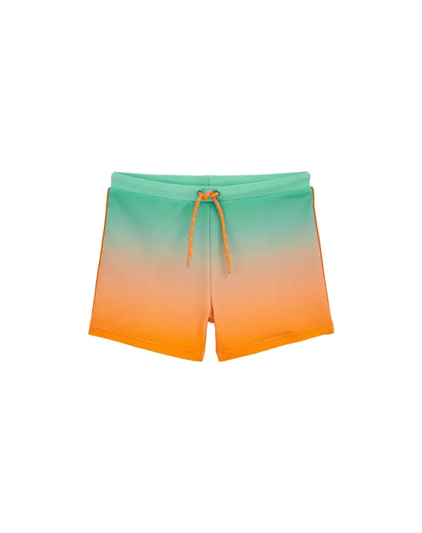 WE Fashion WE Fashion Kopalne hlače  zelena / oranžna