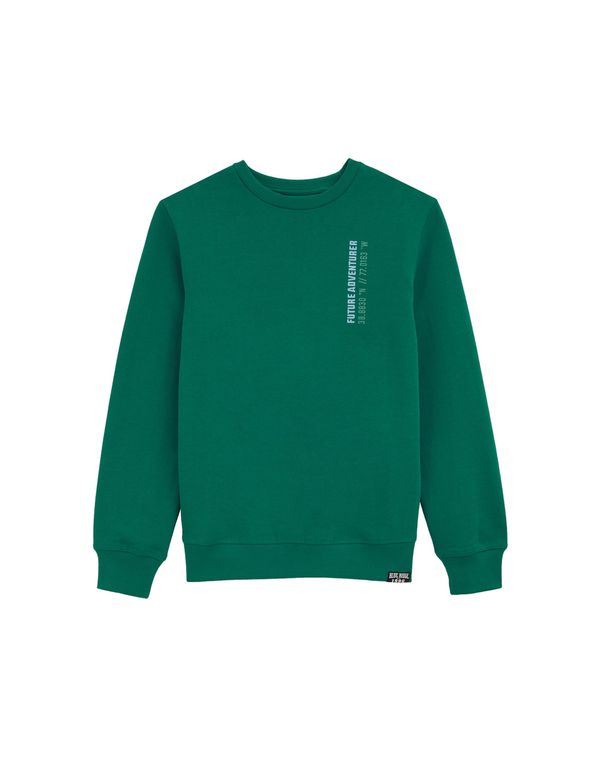 WE Fashion WE Fashion Majica  ecru / golobje modra / mokka / smaragd