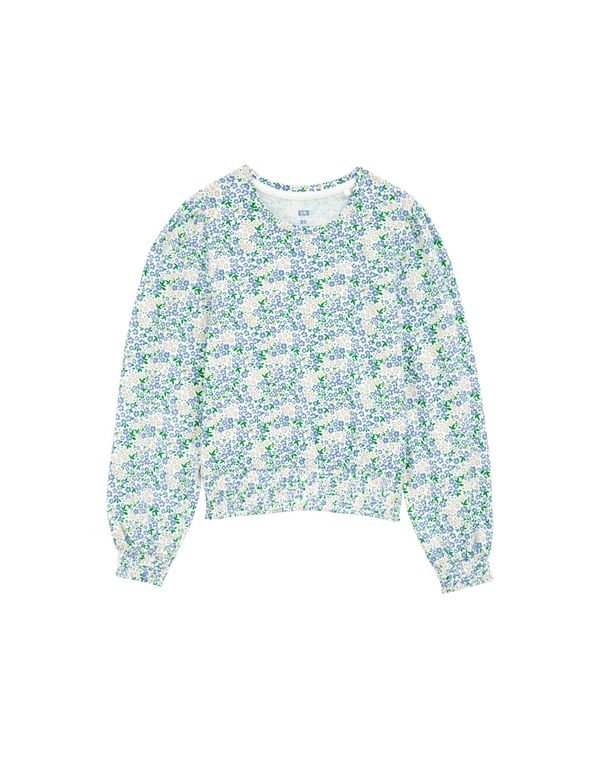 WE Fashion WE Fashion Majica  golobje modra / svetlo siva / travnato zelena / bela