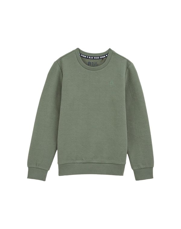 WE Fashion WE Fashion Majica  oliva