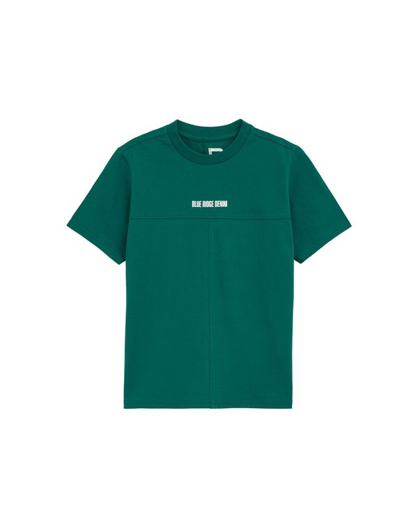 WE Fashion WE Fashion Majica  zelena / bela