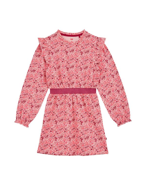 WE Fashion WE Fashion Obleka  roza / rdeča