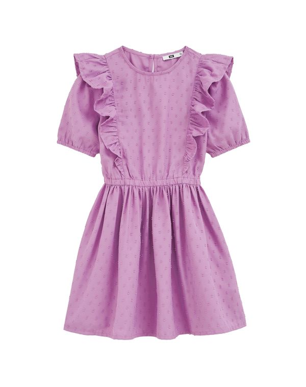 WE Fashion WE Fashion Obleka  sliva