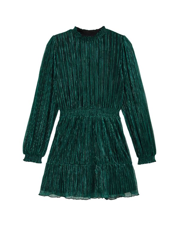 WE Fashion WE Fashion Obleka  temno zelena