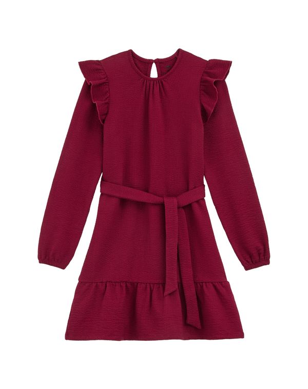 WE Fashion WE Fashion Obleka  vinsko rdeča