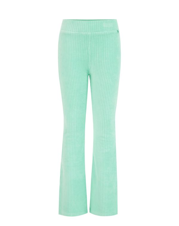 WE Fashion WE Fashion Pajkice  pastelno zelena