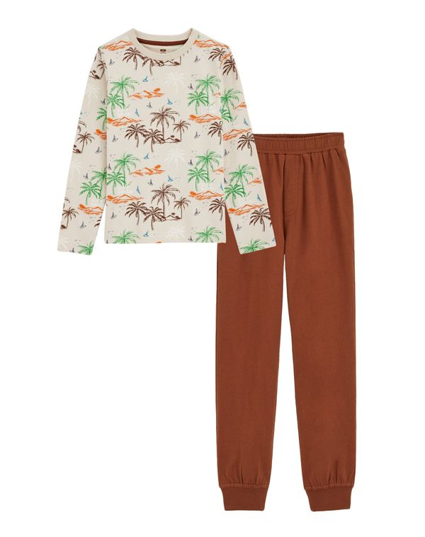 WE Fashion WE Fashion Pižama  šampanjec / rjava / zelena / oranžna