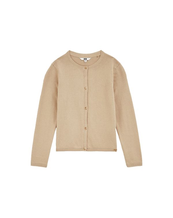 WE Fashion WE Fashion Pletena jopa  bež