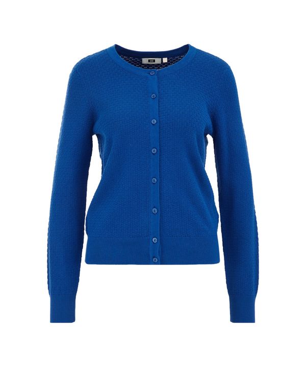 WE Fashion WE Fashion Pletena jopa  kobalt modra