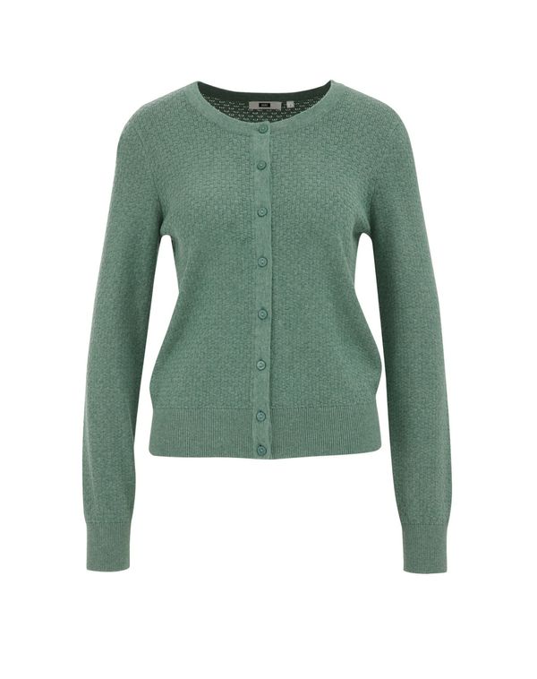 WE Fashion WE Fashion Pletena jopa  pastelno zelena