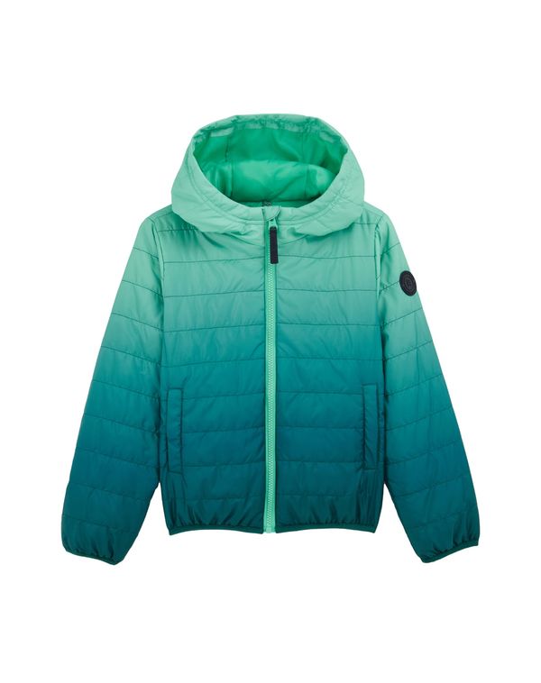 WE Fashion WE Fashion Prehodna jakna  modra / zelena