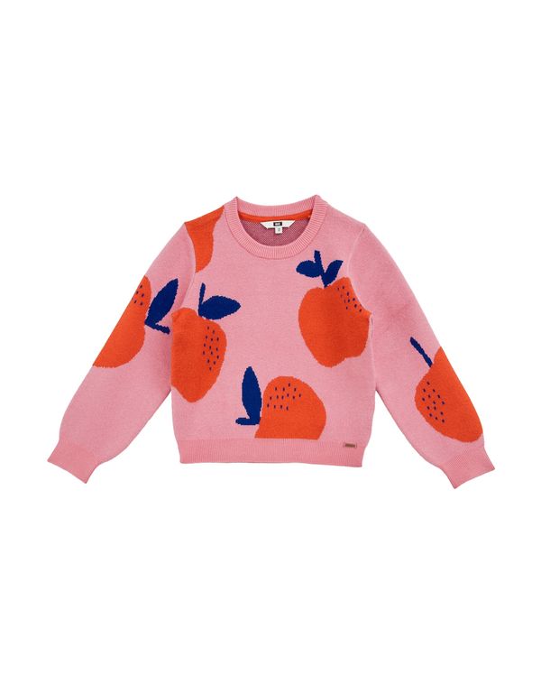 WE Fashion WE Fashion Pulover  modra / roza / rdeča