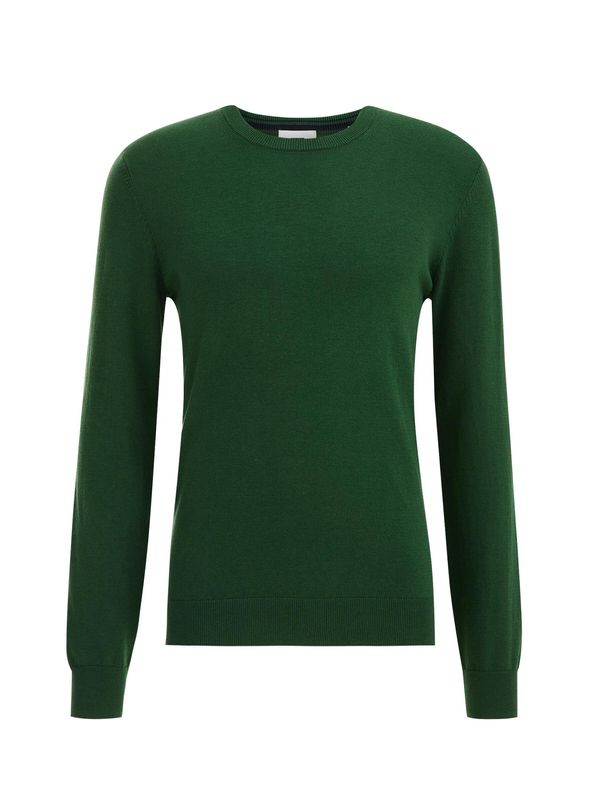 WE Fashion WE Fashion Pulover  svetlo zelena