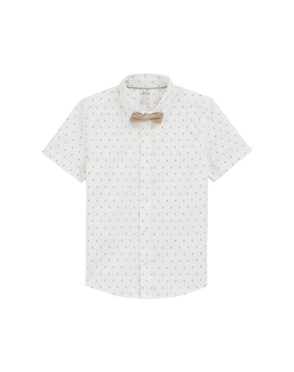 WE Fashion WE Fashion Srajca  čokolada / kapučino / bela