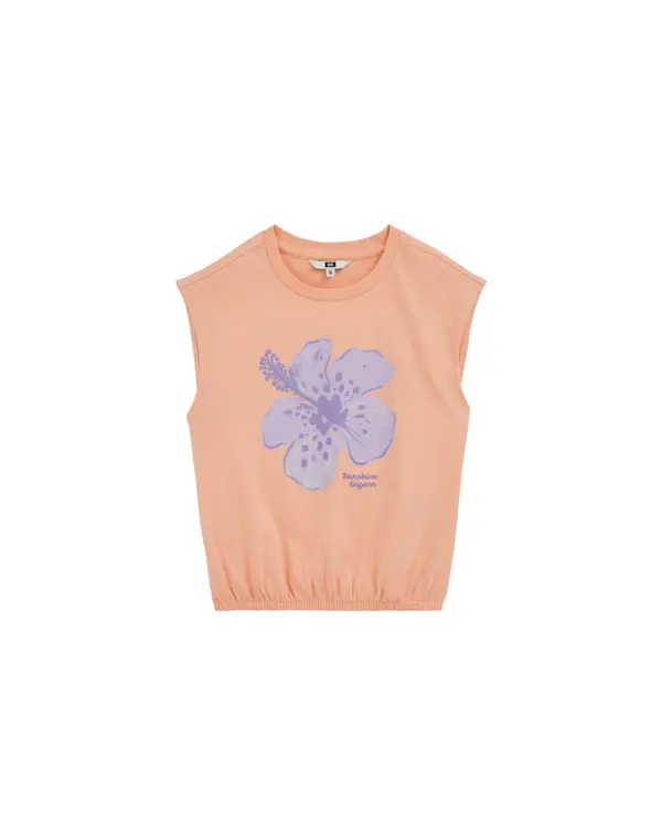 WE Fashion WE Fashion Top  lila / majnica / marelica