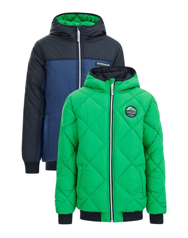 WE Fashion WE Fashion Zimska jakna  marine / temno modra / travnato zelena