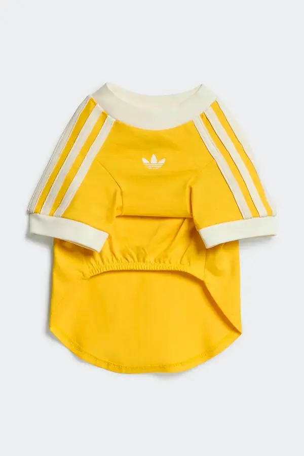adidas Originals adidas Originals za hišnega ljubljenčka Pet Cali