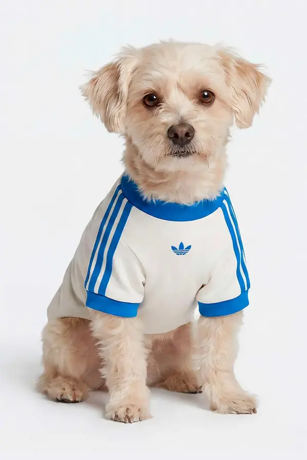 adidas Originals adidas Originals za hišnega ljubljenčka Pet Cali
