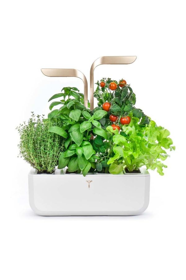 Veritable Avtonomni domači vrt Veritable Connect