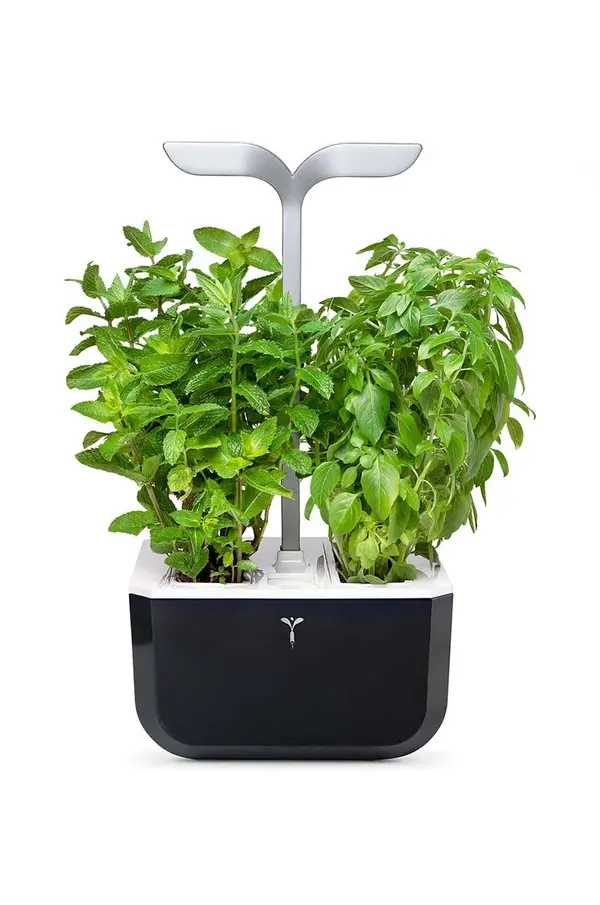 Veritable Avtonomni domači vrt Veritable Exky Smart 20 × 18 cm