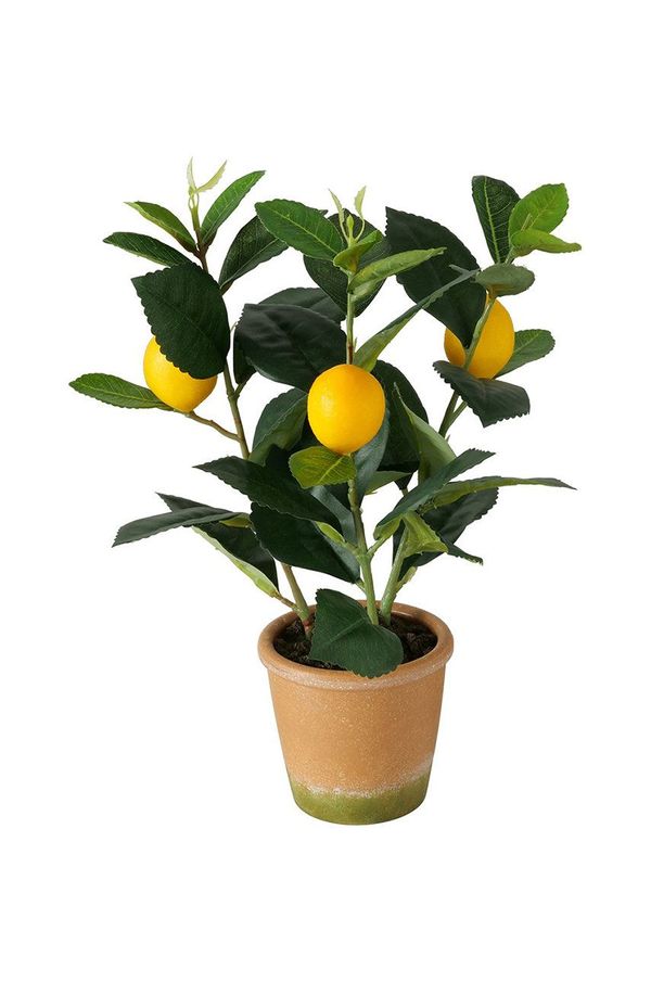Boltze Boltze umetno drevo v cvetličnem loncu Lemon