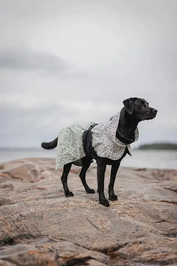 PAIKKA Dežni plašč za psa PAIKKA Raincoat 2.0 48 x 38 x 0,9 cm