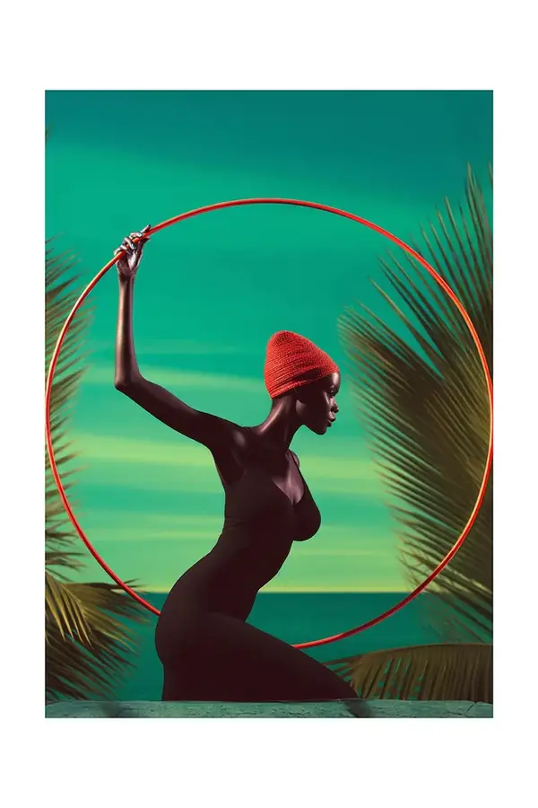 HARTMAN Grafika na akrilnem steklu a.i art HARTMAN Ebony Grace 07 28x36 cm