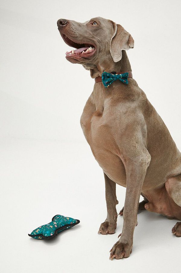 Medicine Igrača za hišnega ljubljenčka Medicine